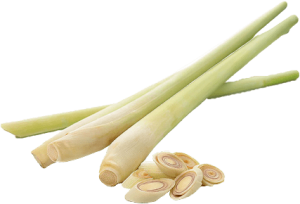 Lemongrass