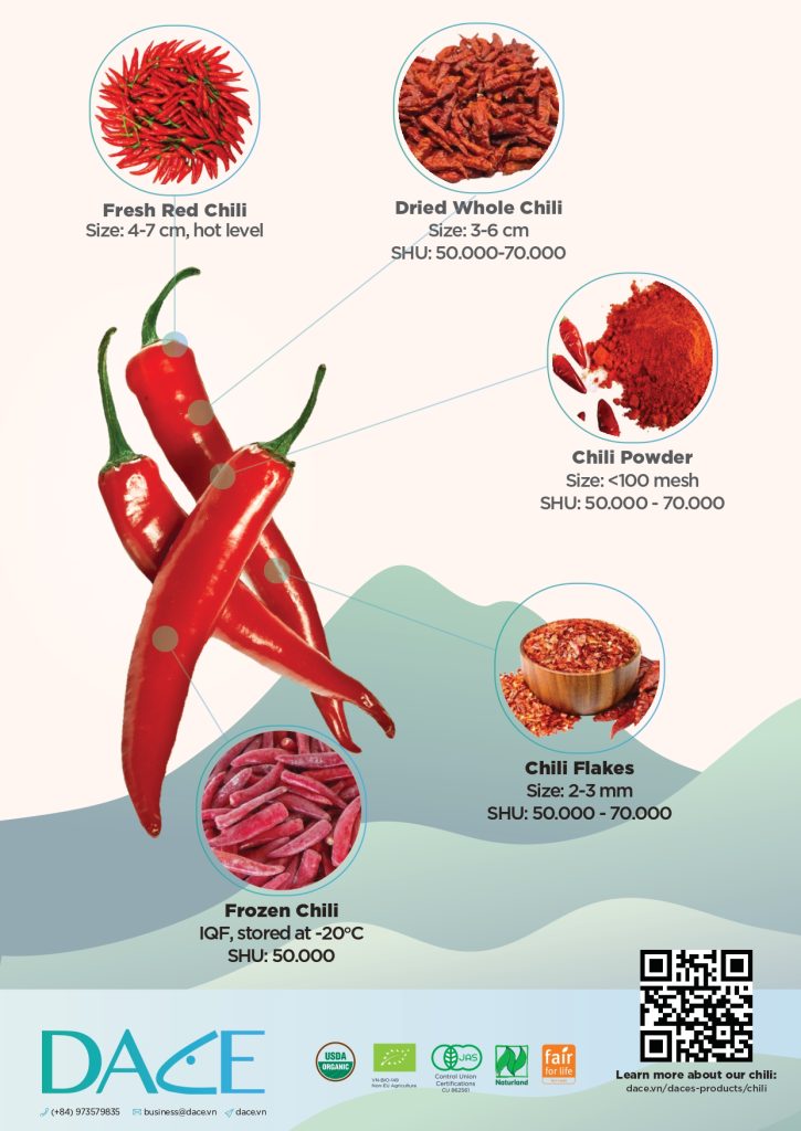 Dace Chili Brochure preview