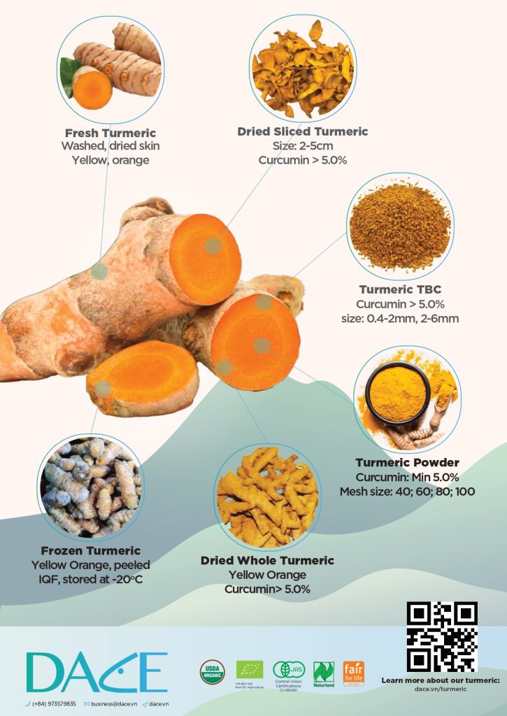 dace Turmeric brochure preview