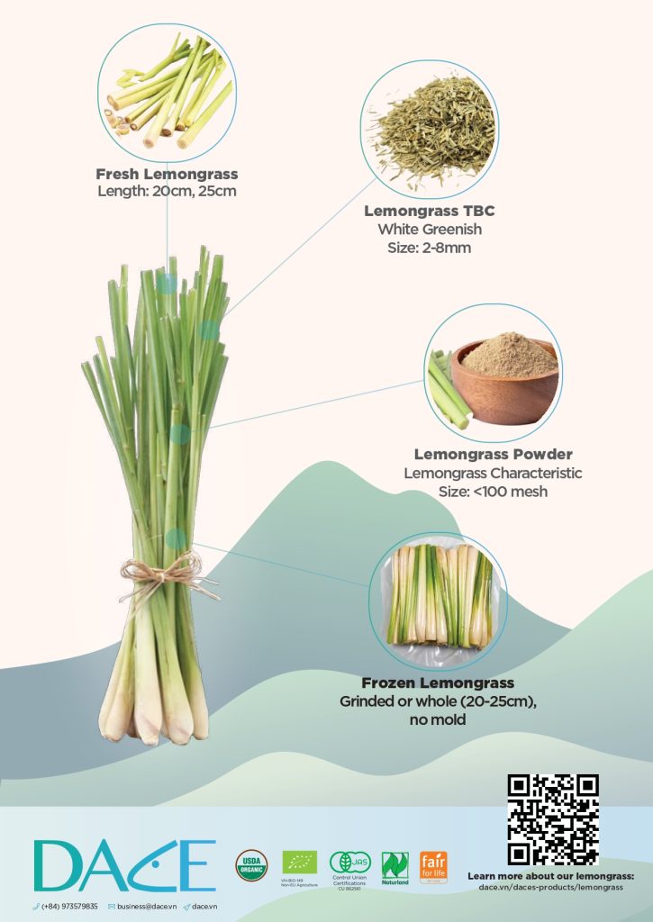 Dace lemongrass brochure preview