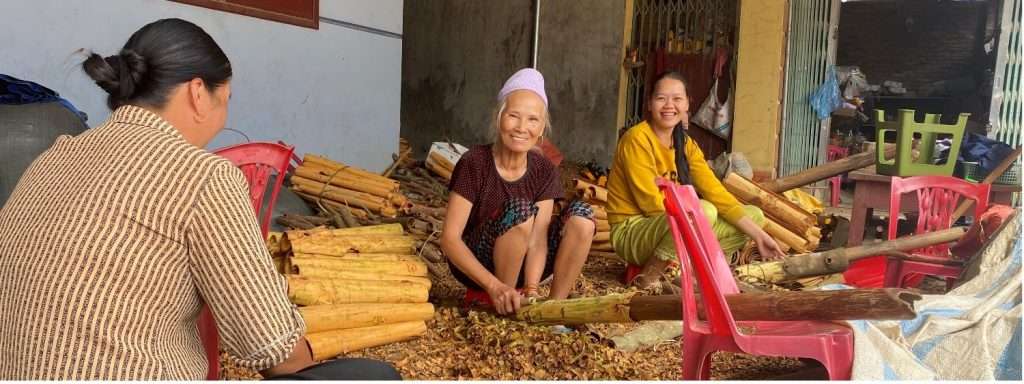 woman-cinnamon-farming