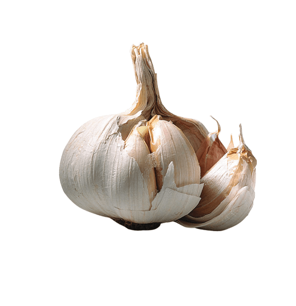 Garlic-Recovered-1