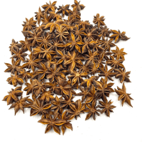 ORGANIC WHOLE STAR ANISE AUTUMN SEASON