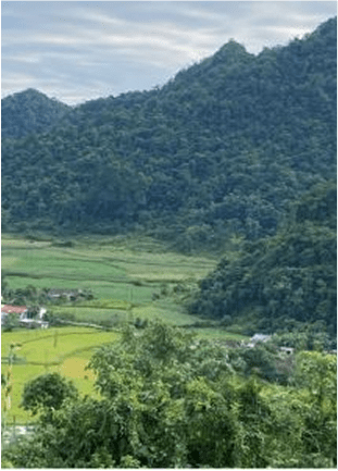 Landscape Research