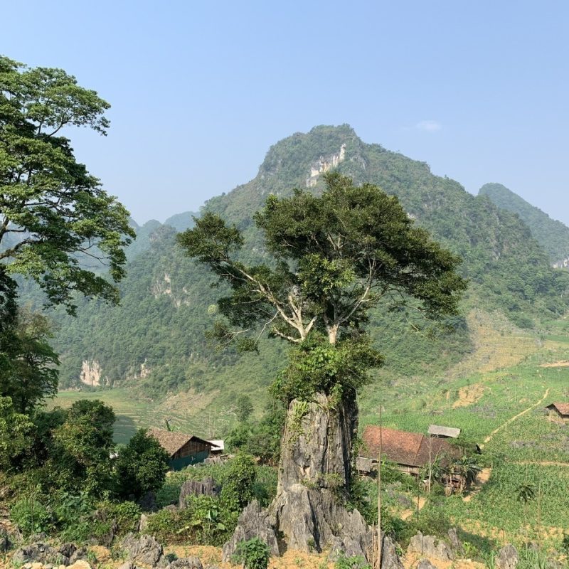 cao bang village